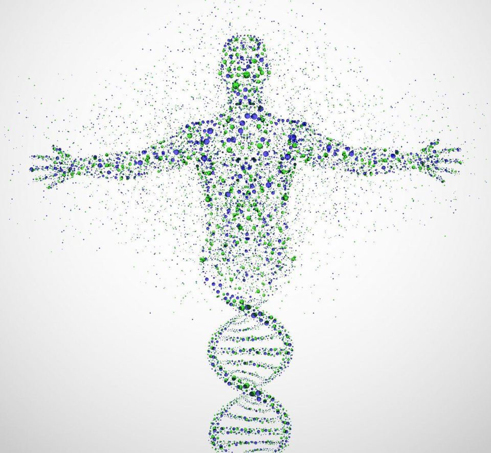 El ADN sistema de almacenamiento de información